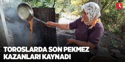 Toroslarda son pekmez kazanları kaynadı