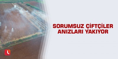 Sorumsuz çiftçiler anızları yakıyor