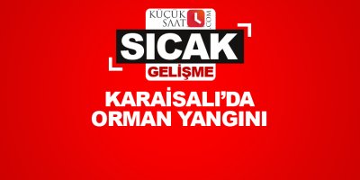 Karaisalı'da orman yangını!