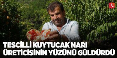 Tescilli Kuytucak narı üreticisinin yüzünü güldürdü