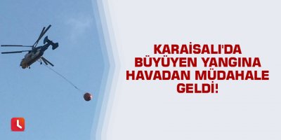 Karaisalı'da büyüyen yangına havadan müdahale geldi!