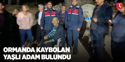 Ormanda kaybolan yaşlı adam bulundu