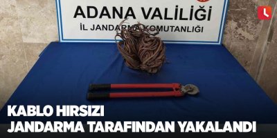 Kablo hırsızı jandarma tarafından yakalandı