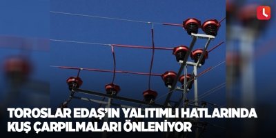 Toroslar EDAŞ’ın yalıtımlı hatlarında kuş çarpılmaları önleniyor
