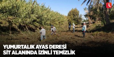 Yumurtalık Ayas Deresi sit alanında izinli temizlik