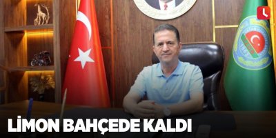 Limon bahçede kaldı