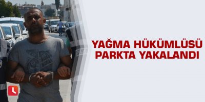 Yağma hükümlüsü parkta yakalandı