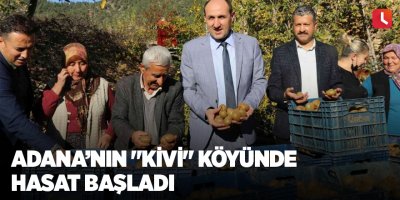 Adana’nın "kivi" köyünde hasat başladı