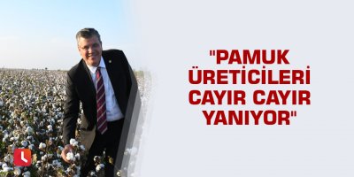 "Pamuk üreticileri cayır cayır yanıyor"