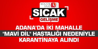 Adana’da iki mahalle "mavi dil" hastalığı nedeniyle karantinaya alındı