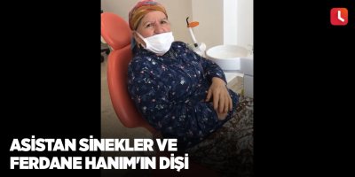 Asistan sinekler ve Ferdane Hanım'ın dişi