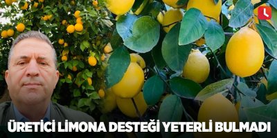 Üretici limona desteği yeterli bulmadı