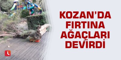 Kozan’da fırtına ağaçları devirdi