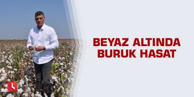 Beyaz altında buruk hasat