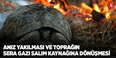 Anız yakılması ve toprağın sera gazı salım kaynağına dönüşmesi