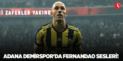 Adana Demirspor'da Fernandao sesleri!
