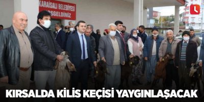 Kırsalda Kilis keçisi yaygınlaşacak