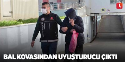 Bal kovasından uyuşturucu çıktı