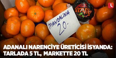 Adanalı narenciye üreticisi isyanda: Tarlada 5 TL, markette 20 TL