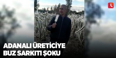 Adanalı üreticiye buz sarkıtı şoku