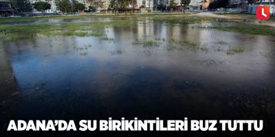 Adana’da su birikintileri buz tuttu