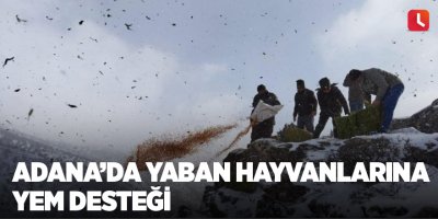 Adana’da yaban hayvanlarına yem desteği