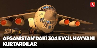 Afganistan’daki 304 evcil hayvanı kurtardılar