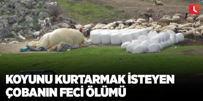 Koyunu kurtarmak isteyen çobanın feci ölümü