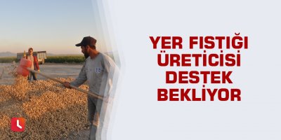 Yer fıstığı üreticisi destek bekliyor