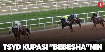 TSYD kupası "Bebesha"nın