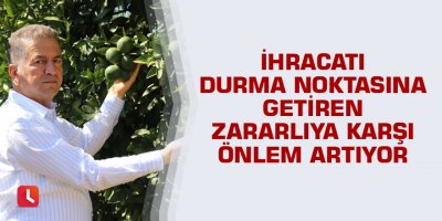 İhracatı durma noktasına getiren zararlıya karşı önlem artıyor