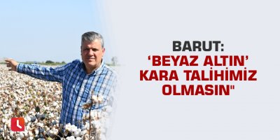 Barut: "'Beyaz altın' kara talihimiz olmasın"