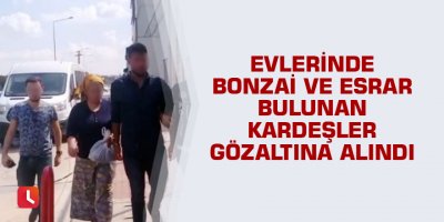 Evlerinde bonzai ve esrar bulunan kardeşler gözaltına alındı