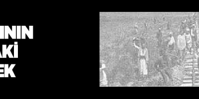 Demiryollarının İki Tarafındaki Arazi Ekilecek