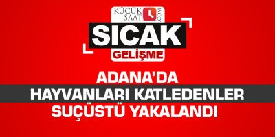 Adana’da hayvanları katledenler suçüstü yakalandı