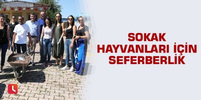 Sokak hayvanları için seferberlik
