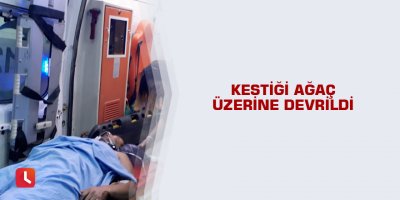 Kestiği ağaç üzerine devrildi