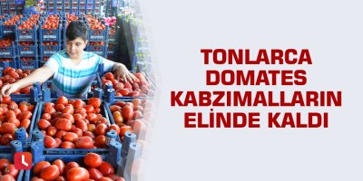 Tonlarca domates kabzımalların elinde kaldı