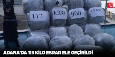 Adana’da 113 kilo esrar ele geçirildi