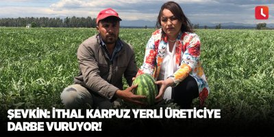 Şevkin: İthal karpuz yerli üreticiye darbe vuruyor!