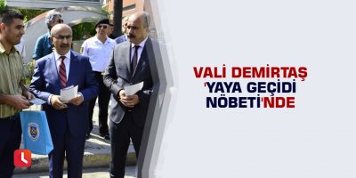 Vali Demirtaş 'yaya geçidi nöbeti'nde