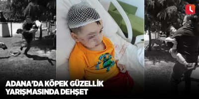 Adana'da köpek güzellik yarışmasında dehşet