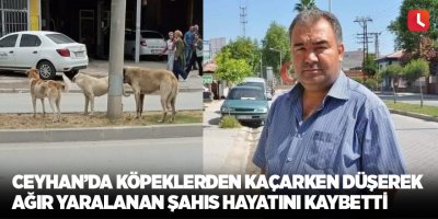 Ceyhan’da köpeklerden kaçarken düşerek ağır yaralanan şahıs hayatını kaybetti