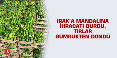 Irak’a mandalina ihracatı durdu, tırlar gümrükten döndü