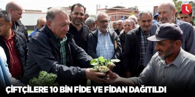 Çiftçilere 10 bin fide ve fidan dağıtıldı