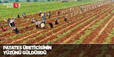 Patates üreticisinin yüzünü güldürdü
