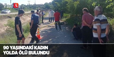 90 yaşındaki kadın yolda ölü bulundu