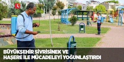 Büyükşehir sivrisinek ve haşere ile mücadeleyi yoğunlaştırdı