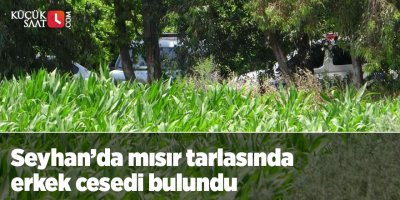 Seyhan'da mısır tarlasında erkek cesedi bulundu