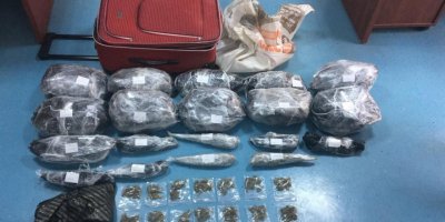 Valizden çıkan esrar şaşırttı!